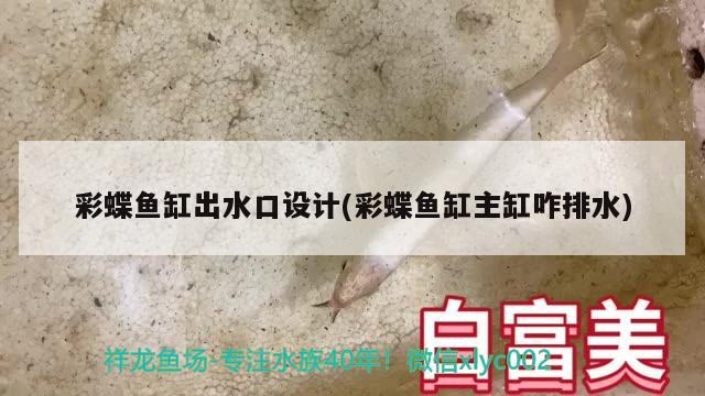 彩蝶鱼缸出水口设计(彩蝶鱼缸主缸咋排水) 细线银版鱼