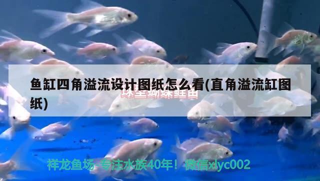 重庆市江北区万帮水族馆（重庆市江北区万帮水族馆电话）