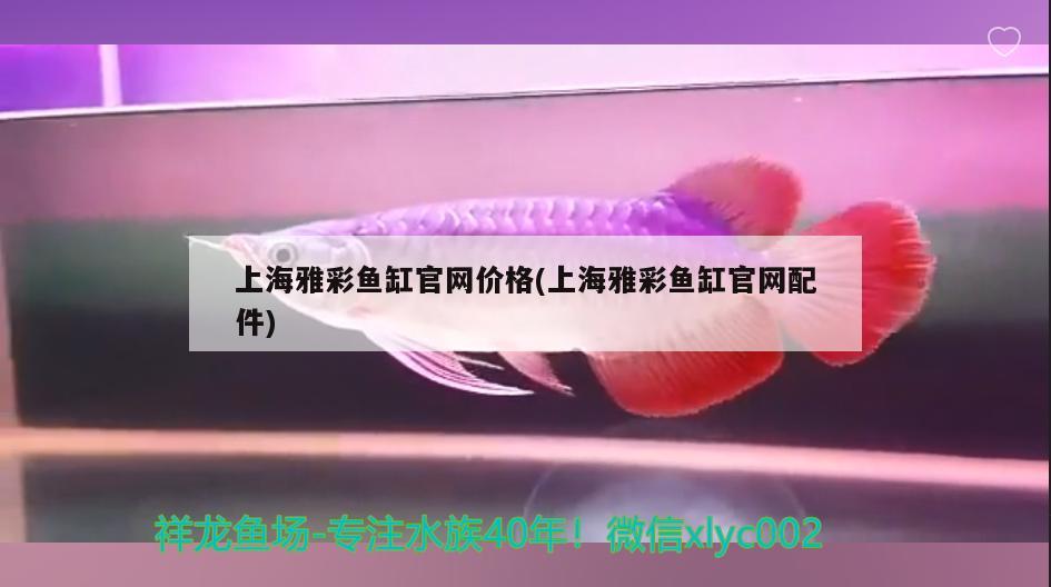 上海雅彩鱼缸官网价格(上海雅彩鱼缸官网配件) 帝王三间鱼