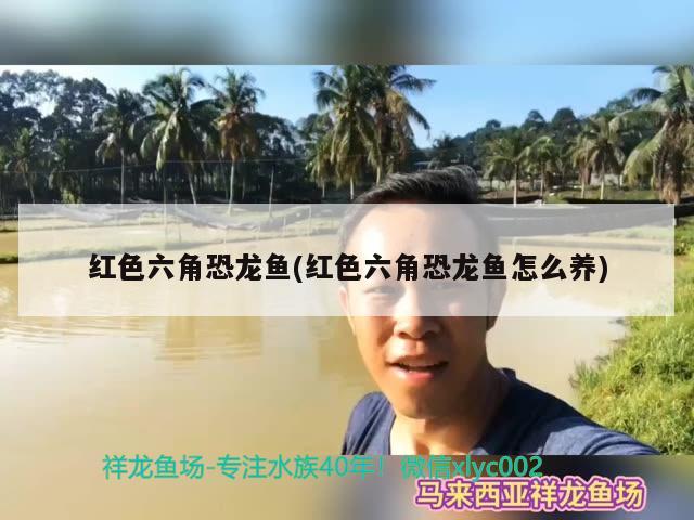 谁来说说热水鱼怎么养，德州豹鱼产卵前征兆