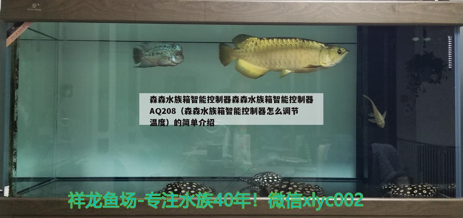 森森水族箱智能控制器森森水族箱智能控制器AQ208（森森水族箱智能控制器怎么调节温度）的简单介绍