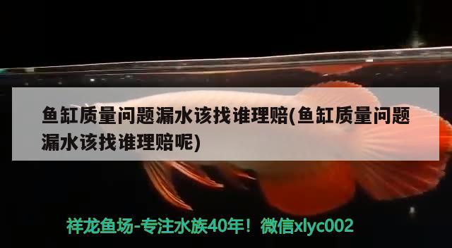 鱼缸质量问题漏水该找谁理赔(鱼缸质量问题漏水该找谁理赔呢)