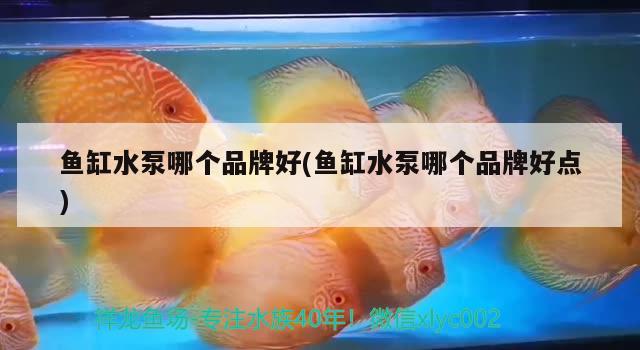 鱼缸水泵哪个品牌好(鱼缸水泵哪个品牌好点)