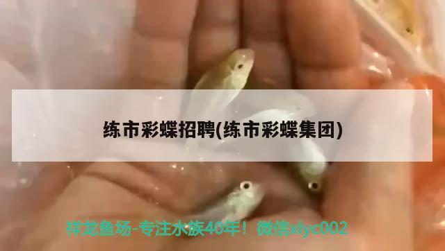 家用过滤器的水可以加鱼缸里吗(鱼缸过滤器材可以直接放水里吗)