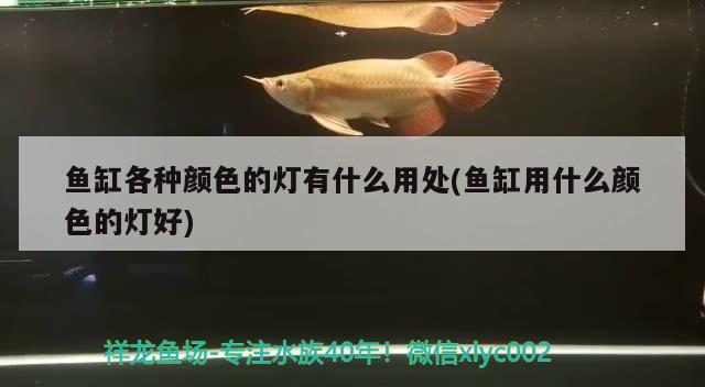 鱼缸各种颜色的灯有什么用处(鱼缸用什么颜色的灯好)