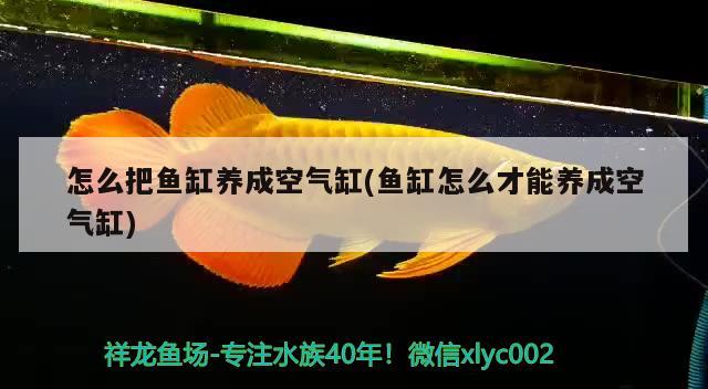 迁安二手鱼缸出售信息：选择适合你的鱼缸，二手鱼缸出售信息最新：选择适合你的鱼缸 水族品牌 第3张