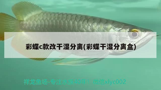 彩蝶c款改干湿分离(彩蝶干湿分离盒)