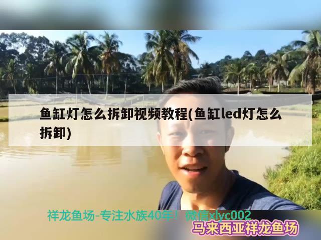 鱼缸灯怎么拆卸视频教程(鱼缸led灯怎么拆卸)