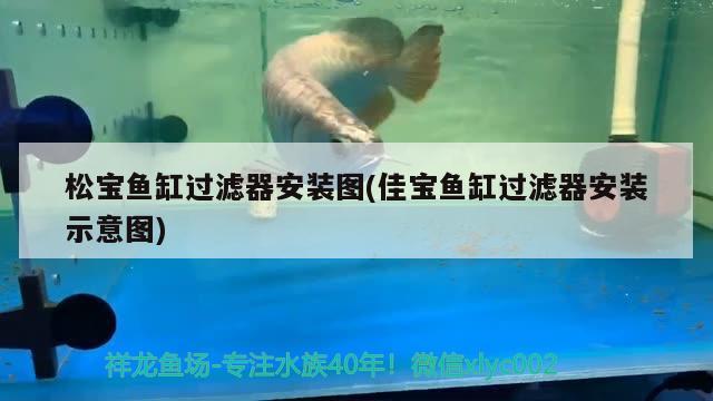 乌拉特前旗乌拉山喜芝水族店