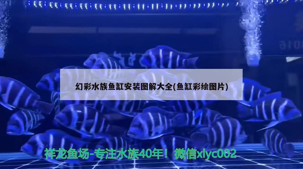 幻彩水族鱼缸安装图解大全(鱼缸彩绘图片)