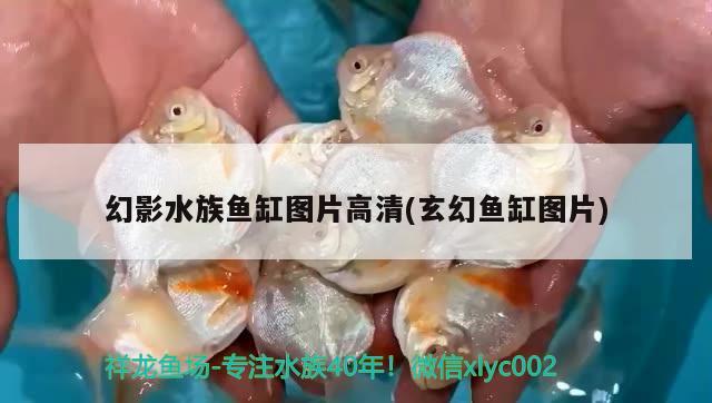 幻影水族鱼缸图片高清(玄幻鱼缸图片)