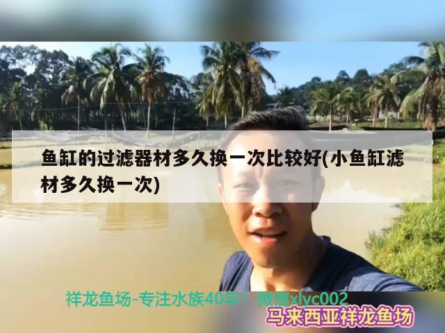 鱼缸的过滤器材多久换一次比较好(小鱼缸滤材多久换一次)