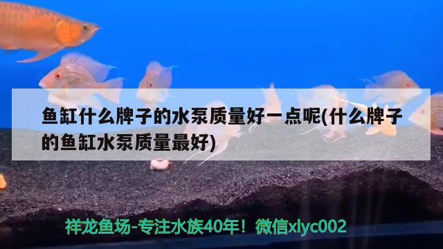 鱼缸什么牌子的水泵质量好一点呢(什么牌子的鱼缸水泵质量最好) 鱼缸水泵