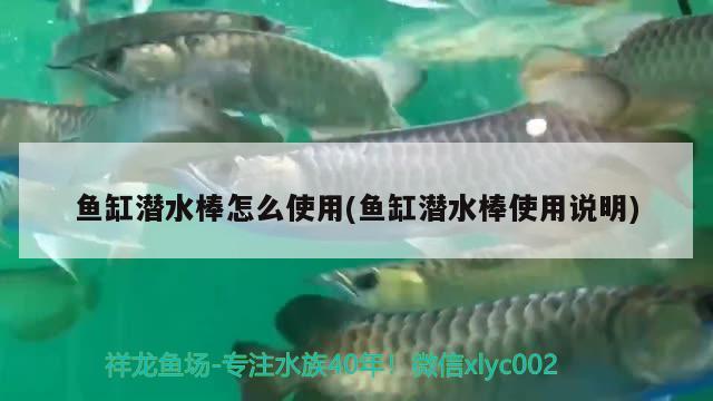 鱼缸潜水棒怎么使用(鱼缸潜水棒使用说明)