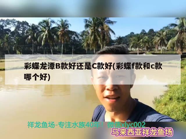 彩蝶龙潭B款好还是C款好(彩蝶f款和c款哪个好) 祥龙龙鱼专用水族灯