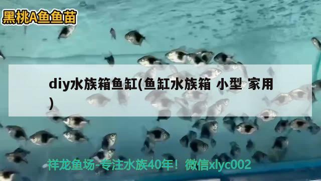 diy水族箱鱼缸(鱼缸水族箱小型家用)