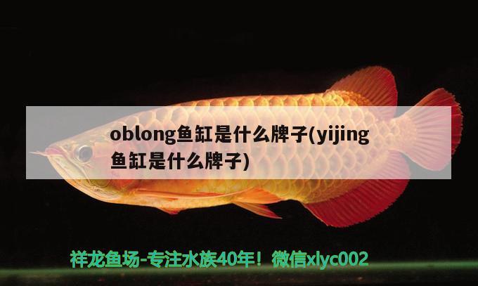 oblong鱼缸是什么牌子(yijing鱼缸是什么牌子)