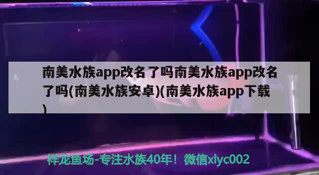 南美水族app改名了吗南美水族app改名了吗(南美水族安卓)(南美水族app下载)