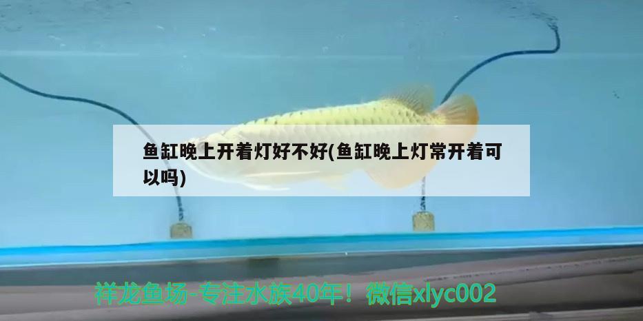 江都区金马水族箱经营部（江都哪里有金鱼买）