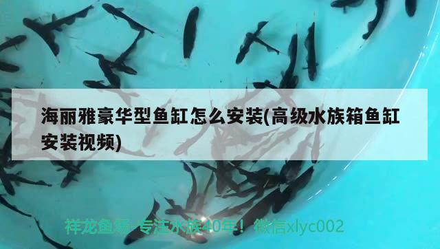 海丽雅豪华型鱼缸怎么安装(高级水族箱鱼缸安装视频)