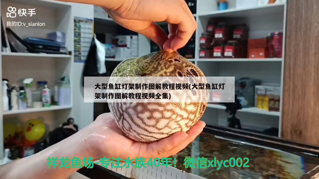 大型鱼缸灯架制作图解教程视频(大型鱼缸灯架制作图解教程视频全集) 稀有金龙鱼