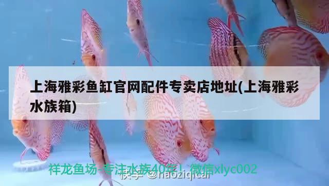 上海雅彩鱼缸官网配件专卖店地址(上海雅彩水族箱) 鱼缸/水族箱