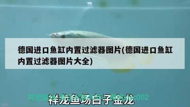 长沙 鱼缸定制店在哪里（济南康之居家装） 全国水族馆企业名录