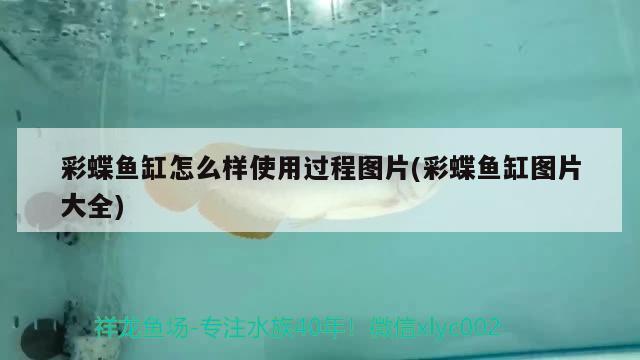 新买的鱼缸怎样清洗(新买的鱼缸用什么清洗)