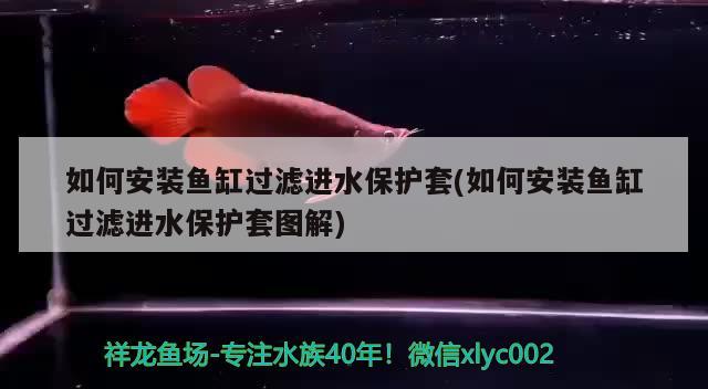 汕头市二手鱼缸回收电话多少号：汕头市二手旧货回收市场在哪里就找啊林旧货回收 观赏鱼市场 第2张