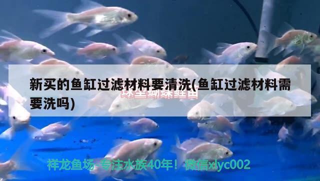 新买的鱼缸过滤材料要清洗(鱼缸过滤材料需要洗吗) 麦肯斯银版鱼