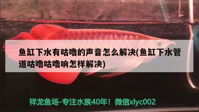 鱼缸下水有咕噜的声音怎么解决(鱼缸下水管道咕噜咕噜响怎样解决)