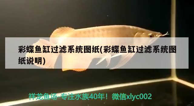 保质90天是什么意思：月饼保质期90天好吗 观赏鱼 第1张