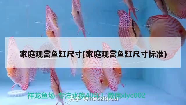 鱼缸人工造景图片大全大图视频 鱼缸人工造景图片大全大图视频下载 养鱼的好处 第1张