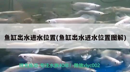 鱼缸出水进水位置(鱼缸出水进水位置图解) 养鱼知识