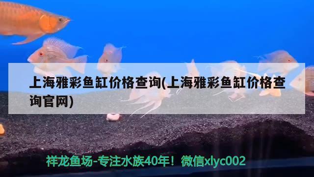 上海雅彩鱼缸价格查询(上海雅彩鱼缸价格查询官网) 金龙福龙鱼