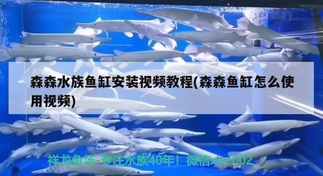 森森水族鱼缸安装视频教程(森森鱼缸怎么使用视频) 黄金鸭嘴鱼