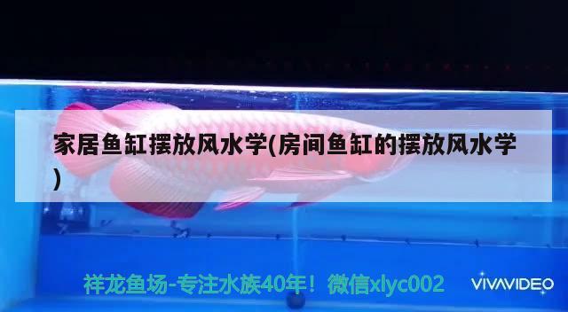 博宇水族箱安装教程(博宇水族箱怎么安装) 鱼缸/水族箱 第1张