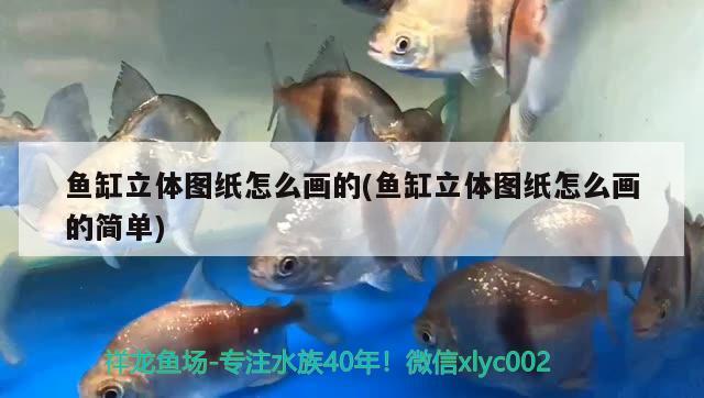 鱼缸立体图纸怎么画的(鱼缸立体图纸怎么画的简单) 红龙专用鱼粮饲料