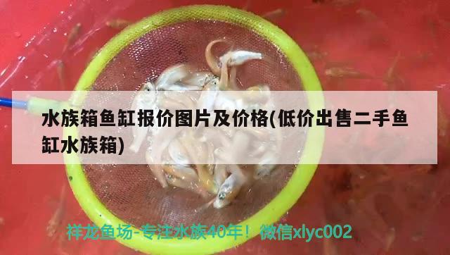 水族箱鱼缸报价图片及价格(低价出售二手鱼缸水族箱)