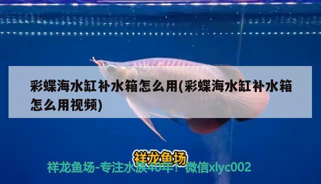 上滤鱼缸滤材摆放视频(鱼缸上滤材料摆放顺序视频) 广州龙鱼批发市场