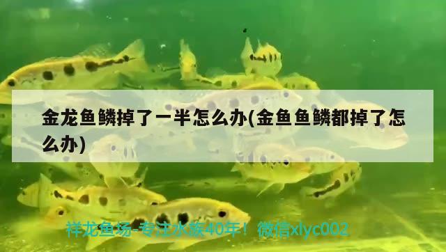 求懂风水的大师帮忙看一下鱼缸放哪个位置好（来自贵阳花园小区），昆明搬家公司哪家靠谱