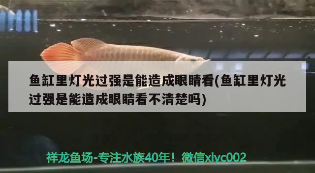 武侯区新水族玻璃制品经营部（武侯区新水族玻璃制品经营部地址）