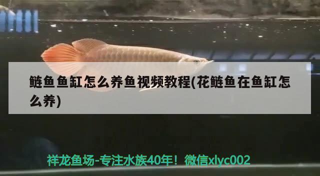 武侯区新水族玻璃制品经营部（武侯区新水族玻璃制品经营部地址）