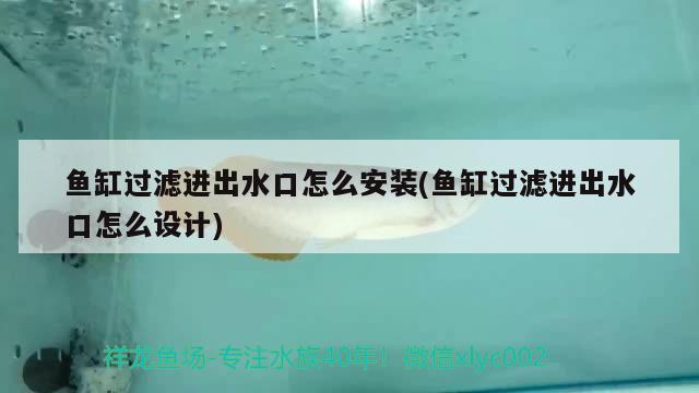 鱼缸过滤进出水口怎么安装(鱼缸过滤进出水口怎么设计) 银河星钻鱼