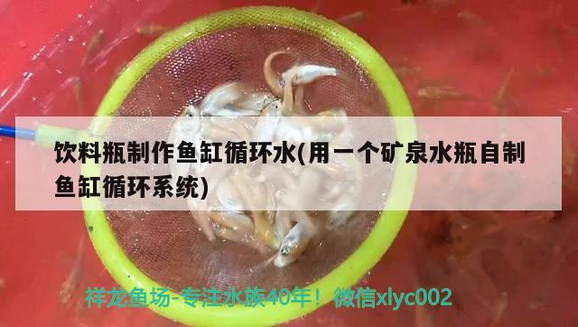 饮料瓶制作鱼缸循环水(用一个矿泉水瓶自制鱼缸循环系统) 肥料