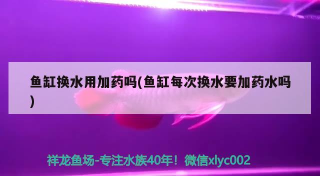 哈密水族批发市场在哪里有卖海鲜的 哈密水族批发市场在哪里有卖海鲜的地方 细线银版鱼 第2张