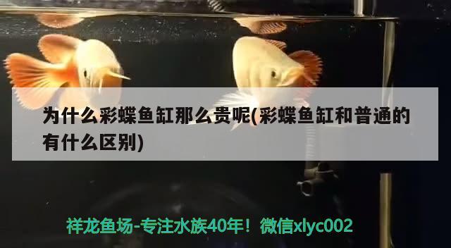 固安县固安镇尚众花店 全国水族馆企业名录 第1张