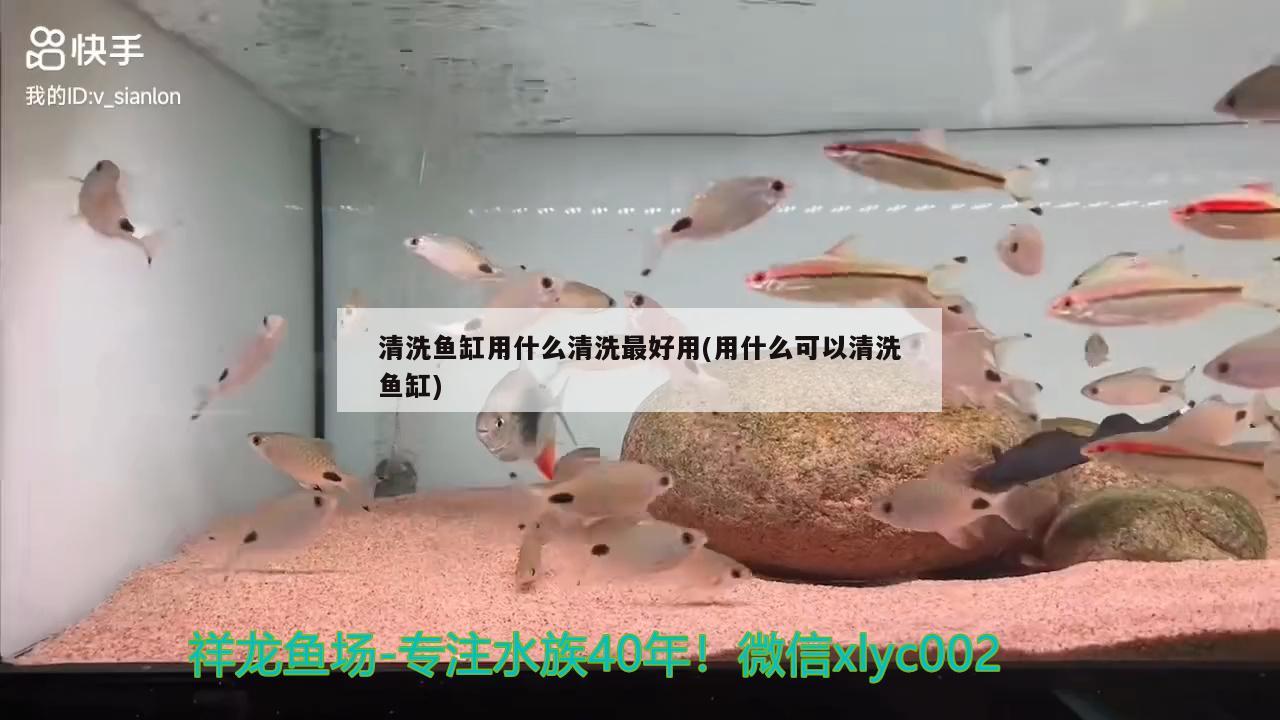 清洗鱼缸用什么清洗最好用(用什么可以清洗鱼缸) 过滤设备