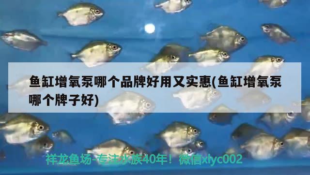 鱼缸增氧泵哪个品牌好用又实惠(鱼缸增氧泵哪个牌子好)