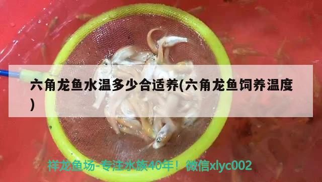 鱼缸换水直接热水器可以不：鱼缸换水能用热水加水吗